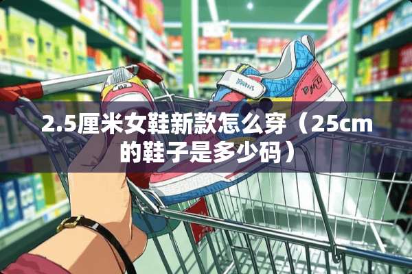 2.5厘米女鞋新款怎么穿（25cm的鞋子是多少码）