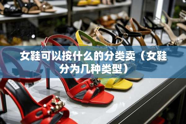女鞋可以按什么的分类卖（女鞋分为几种类型）