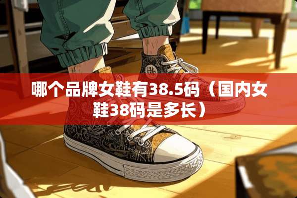 哪个品牌女鞋有38.5码（国内女鞋38码是多长）