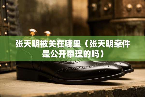 张天明被关在哪里（张天明案件是公开审理的吗）