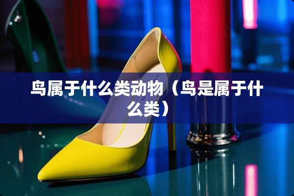 鸟属于什么类动物（鸟是属于什么类）