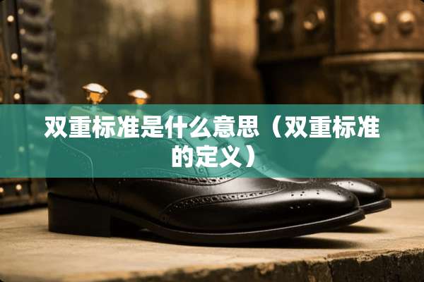 双重标准是什么意思（双重标准的定义）