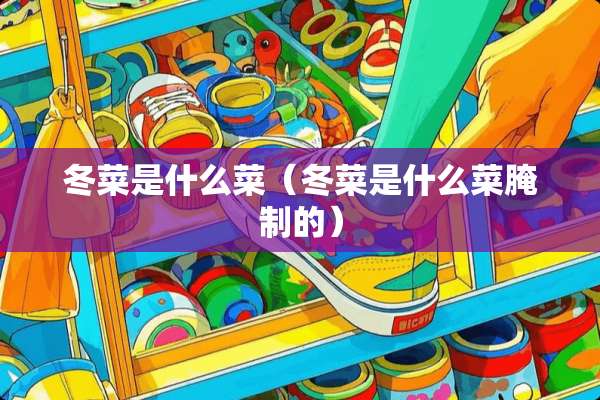 冬菜是什么菜（冬菜是什么菜腌制的）