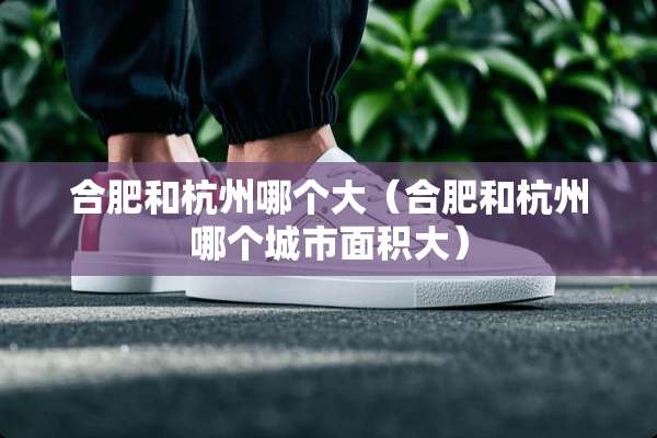 合肥和杭州哪个大（合肥和杭州哪个城市面积大）
