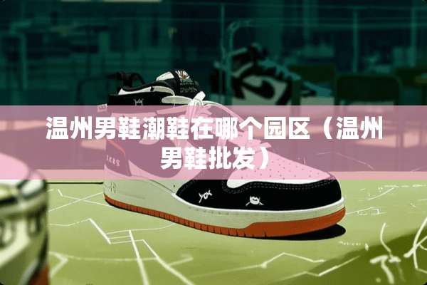 温州男鞋潮鞋在哪个园区（温州男鞋批发）