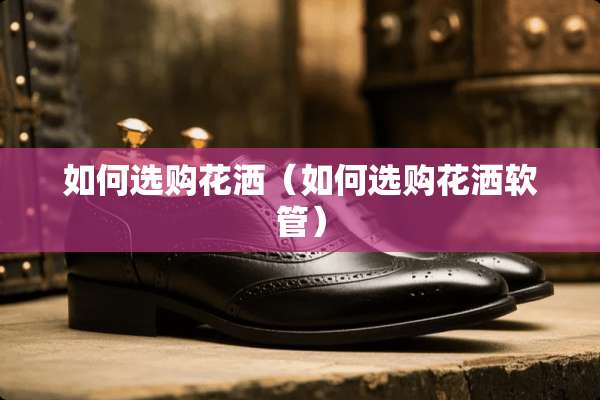 如何选购花洒（如何选购花洒软管）