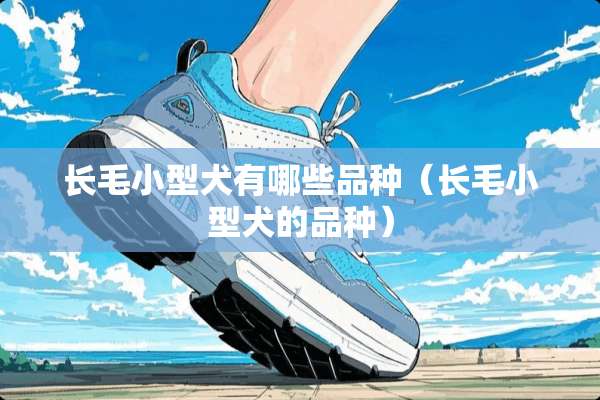 长毛小型犬有哪些品种（长毛小型犬的品种）