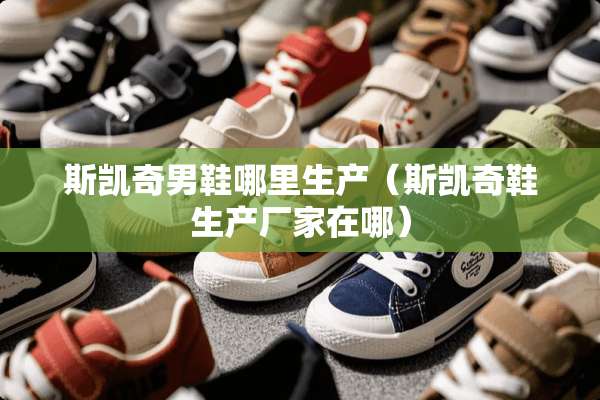 斯凯奇男鞋哪里生产（斯凯奇鞋生产厂家在哪）