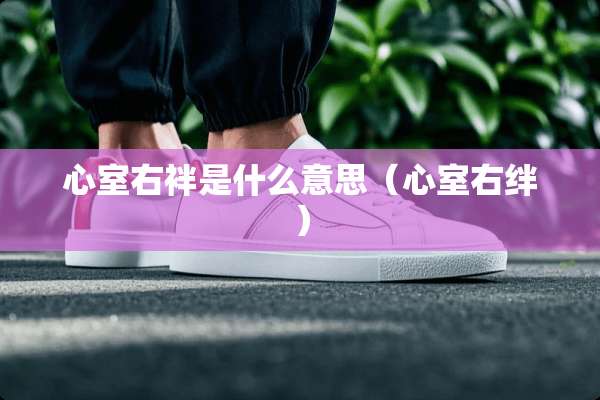 心室右袢是什么意思（心室右绊）