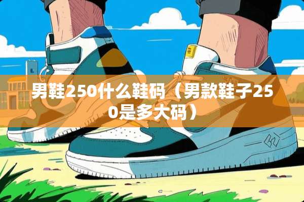 男鞋250什么鞋码（男款鞋子250是多大码）