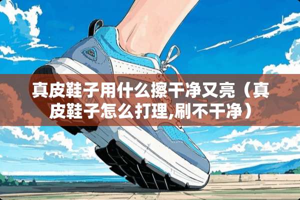 真皮鞋子用什么擦干净又亮（真皮鞋子怎么打理,刷不干净）