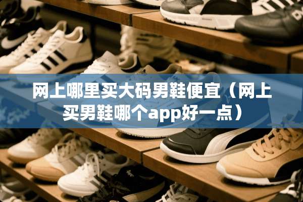 网上哪里买大码男鞋便宜（网上买男鞋哪个app好一点）