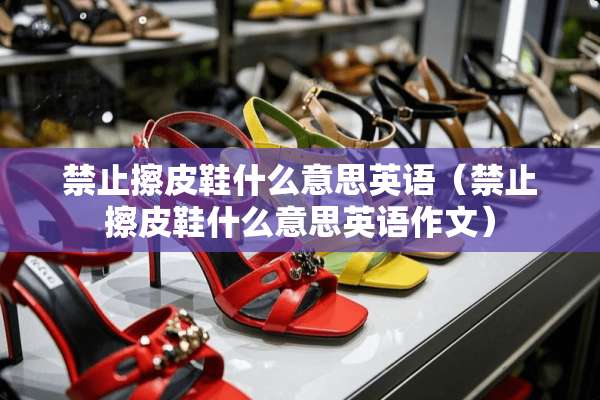 禁止擦皮鞋什么意思英语（禁止擦皮鞋什么意思英语作文）