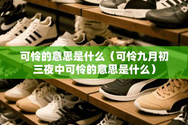 可怜的意思是什么（可怜九月初三夜中可怜的意思是什么）