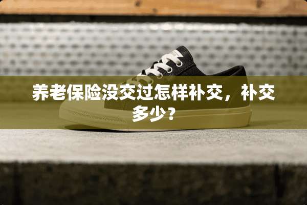 养老保险没交过怎样补交，补交多少？