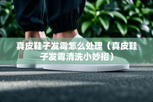 真皮鞋子发霉怎么处理（真皮鞋子发霉清洗小妙招）
