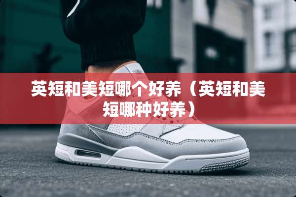 英短和美短哪个好养（英短和美短哪种好养）