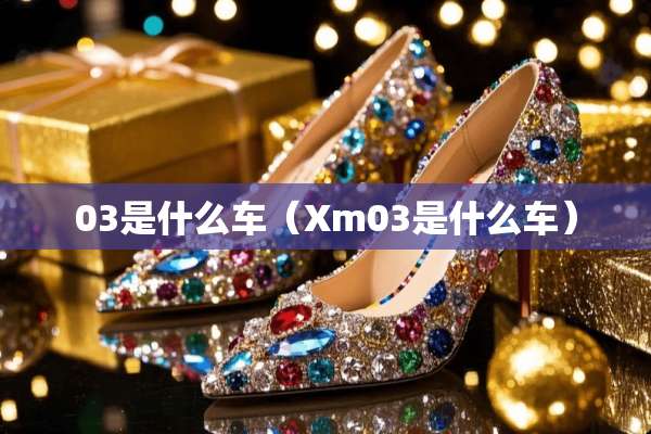 03是什么车（Xm03是什么车）