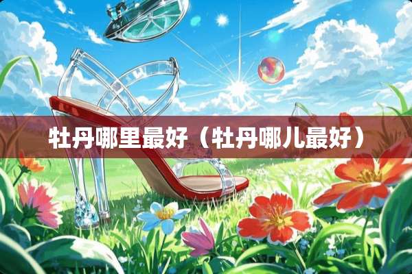 牡丹哪里最好（牡丹哪儿最好）