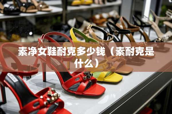 素净女鞋耐克多少钱（素耐克是什么）