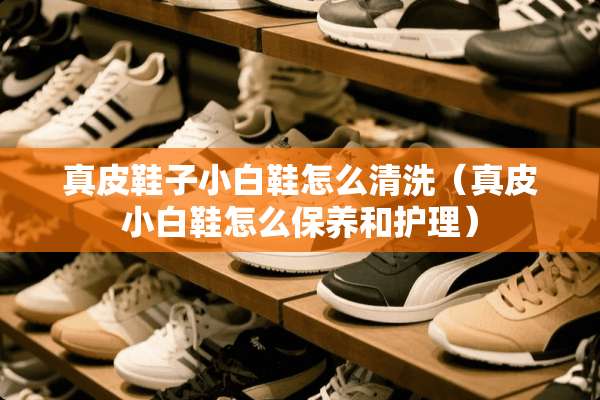 真皮鞋子小白鞋怎么清洗（真皮小白鞋怎么保养和护理）