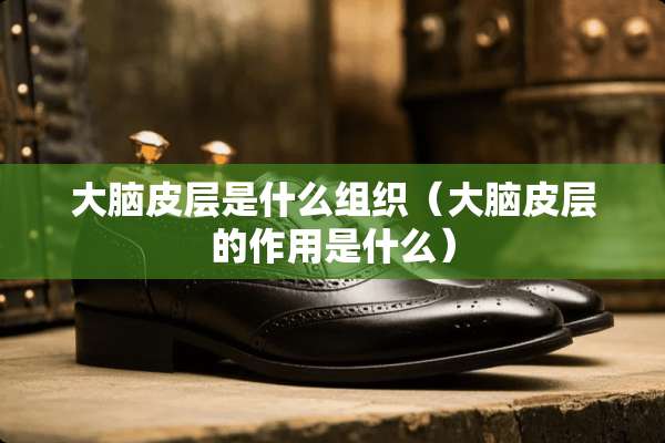 大脑皮层是什么组织（大脑皮层的作用是什么）