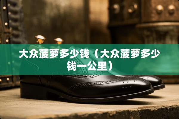 大众菠萝多少钱（大众菠萝多少钱一公里）