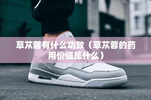 草苁蓉有什么功效（草苁蓉的药用价值是什么）