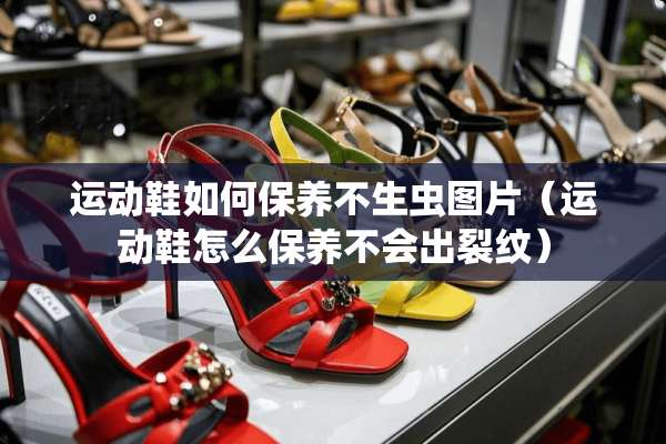 运动鞋如何保养不生虫图片（运动鞋怎么保养不会出裂纹）