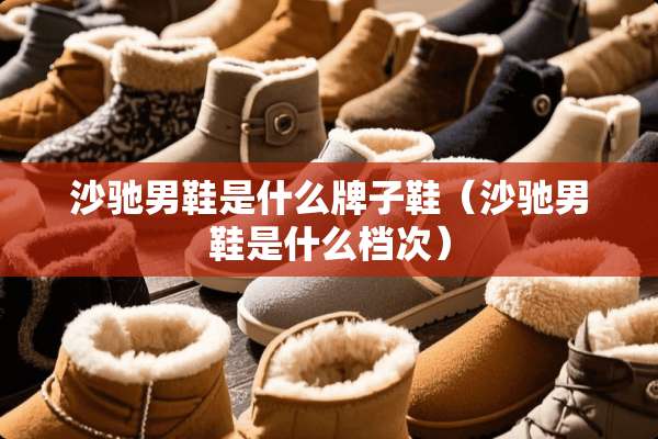 沙驰男鞋是什么牌子鞋（沙驰男鞋是什么档次）
