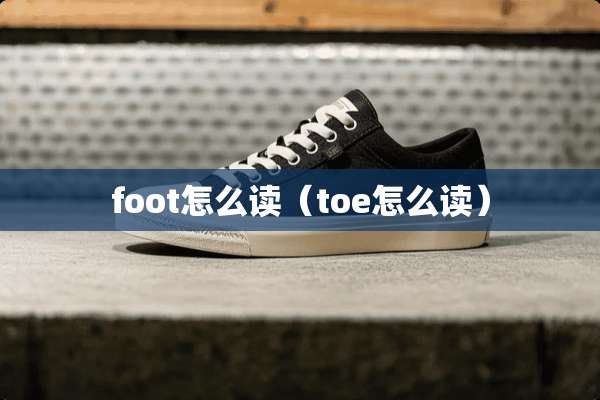 foot怎么读（toe怎么读）