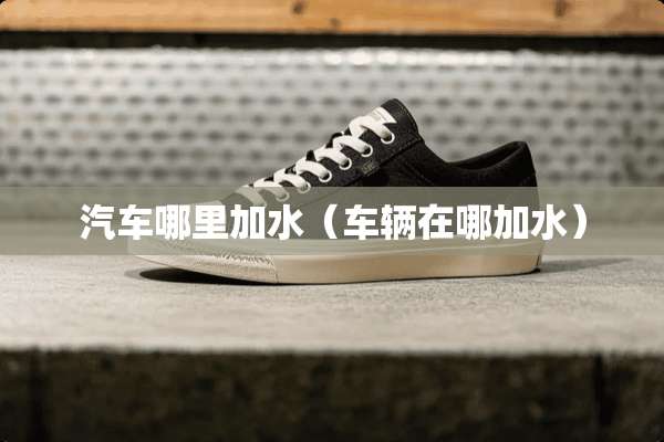 汽车哪里加水（车辆在哪加水）