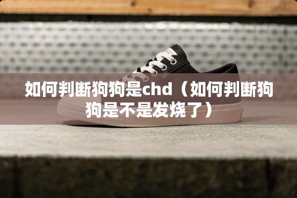 如何判断狗狗是chd（如何判断狗狗是不是发烧了）