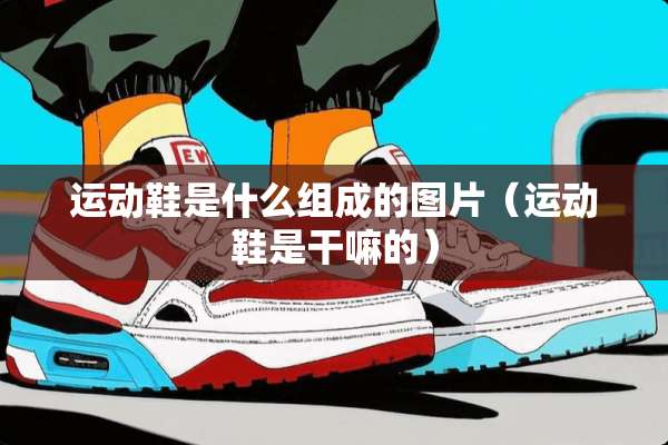 运动鞋是什么组成的图片（运动鞋是干嘛的）