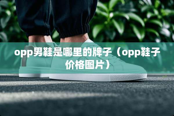 opp男鞋是哪里的牌子（opp鞋子价格图片）
