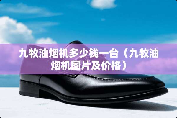 九牧油烟机多少钱一台（九牧油烟机图片及价格）