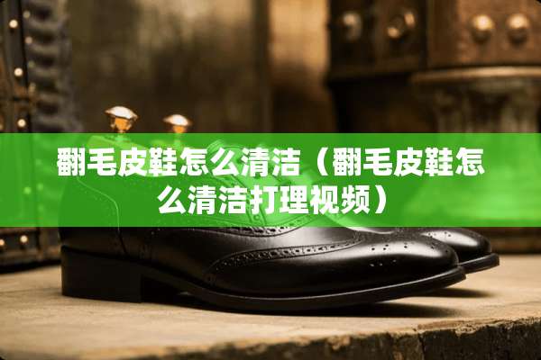 翻毛皮鞋怎么清洁（翻毛皮鞋怎么清洁打理视频）