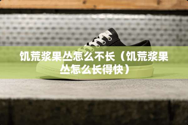 饥荒浆果丛怎么不长（饥荒浆果丛怎么长得快）