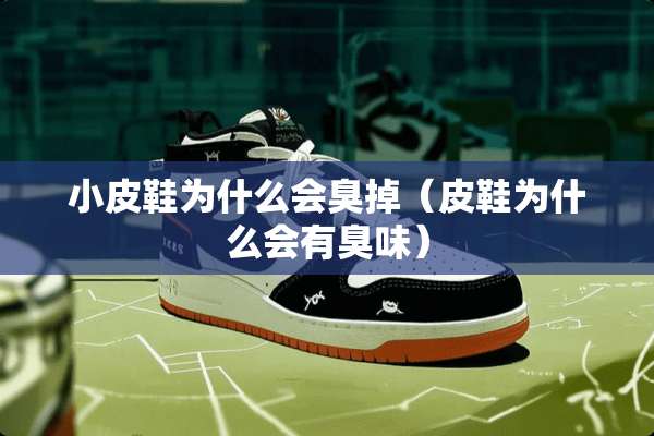 小皮鞋为什么会臭掉（皮鞋为什么会有臭味）