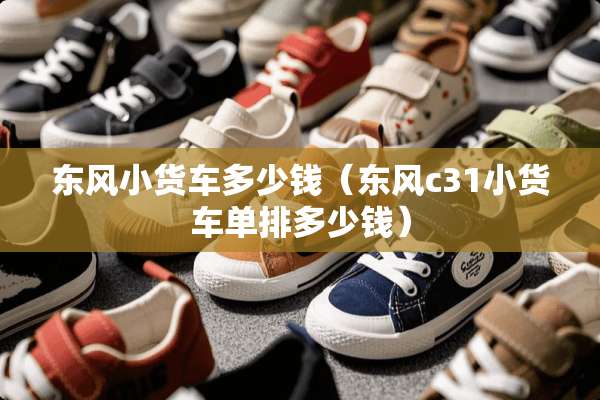 东风小货车多少钱（东风c31小货车单排多少钱）