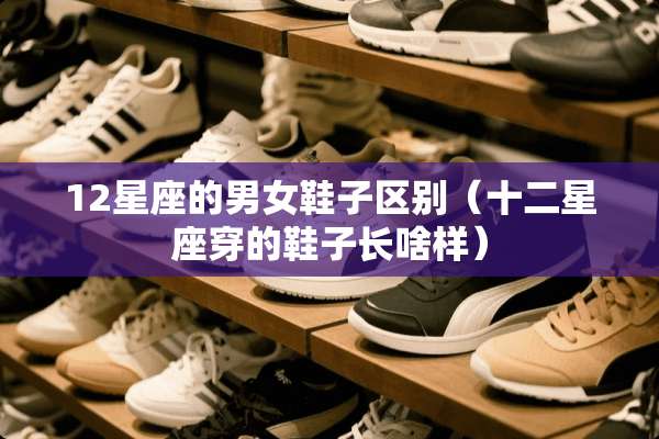 12星座的男女鞋子区别（十二星座穿的鞋子长啥样）