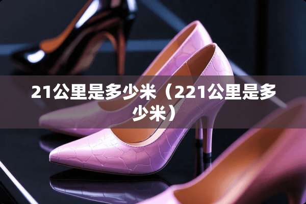 21公里是多少米（221公里是多少米）