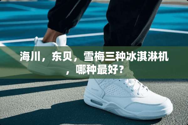 海川，东贝，雪梅三种冰淇淋机，哪种最好？