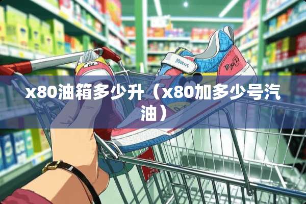 x80油箱多少升（x80加多少号汽油）