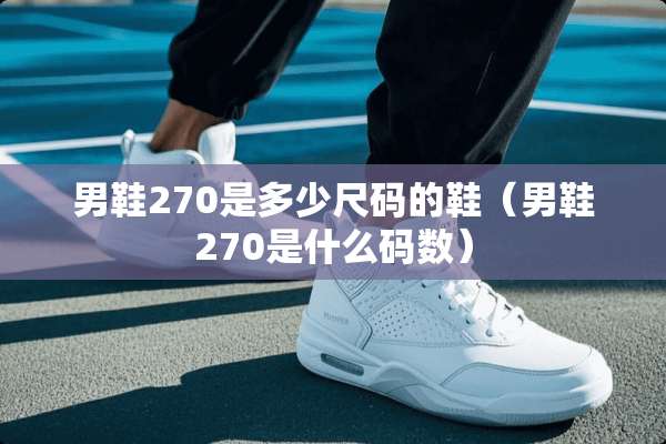 男鞋270是多少尺码的鞋（男鞋270是什么码数）