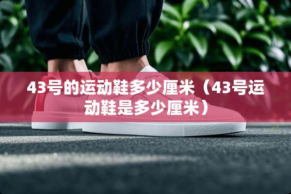 43号的运动鞋多少厘米（43号运动鞋是多少厘米）