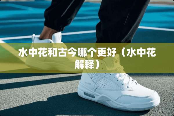 水中花和古今哪个更好（水中花解释）