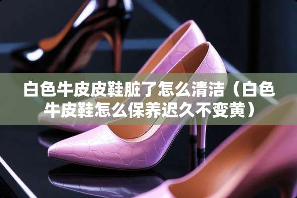 白色牛皮皮鞋脏了怎么清洁（白色牛皮鞋怎么保养迟久不变黄）