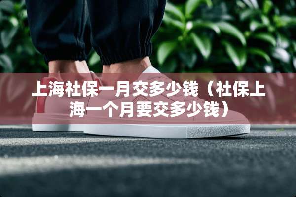 上海社保一月交多少钱（社保上海一个月要交多少钱）