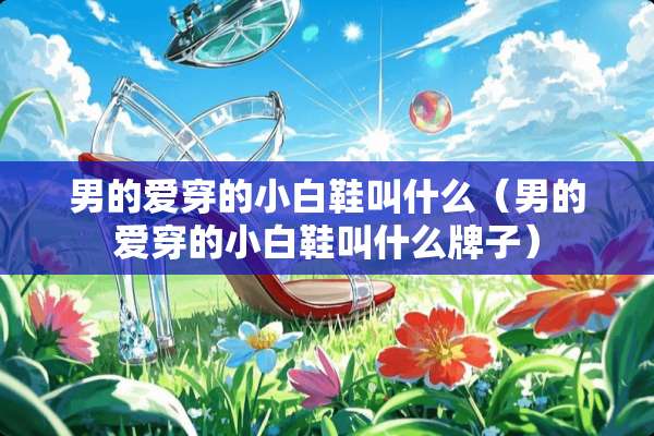 男的爱穿的小白鞋叫什么（男的爱穿的小白鞋叫什么牌子）